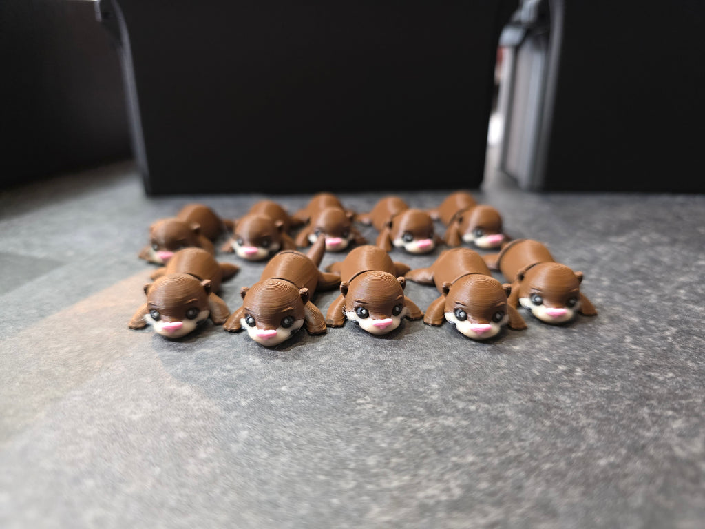 3D Lab Otter