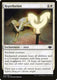 Sticky Image