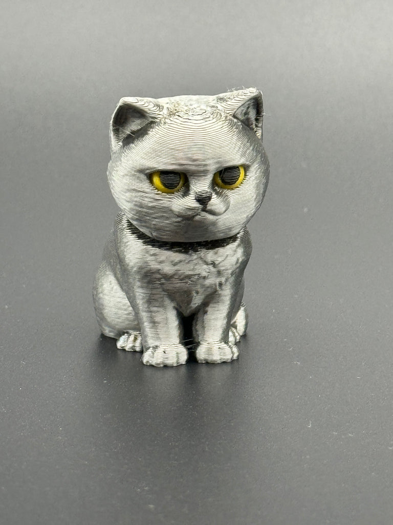 3D Lab Wobble Cat