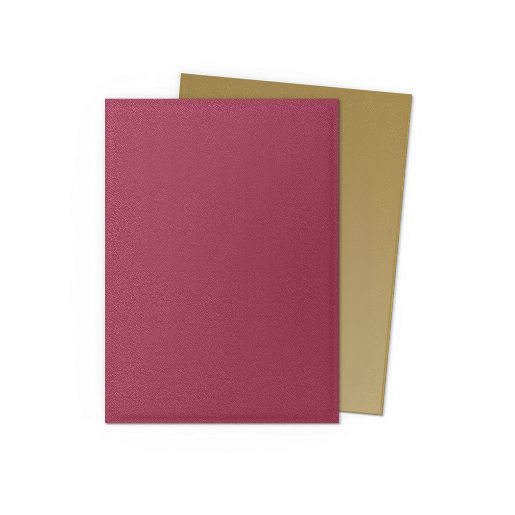 Dragon Shield: Standard 100ct Pomegranate & Gold
