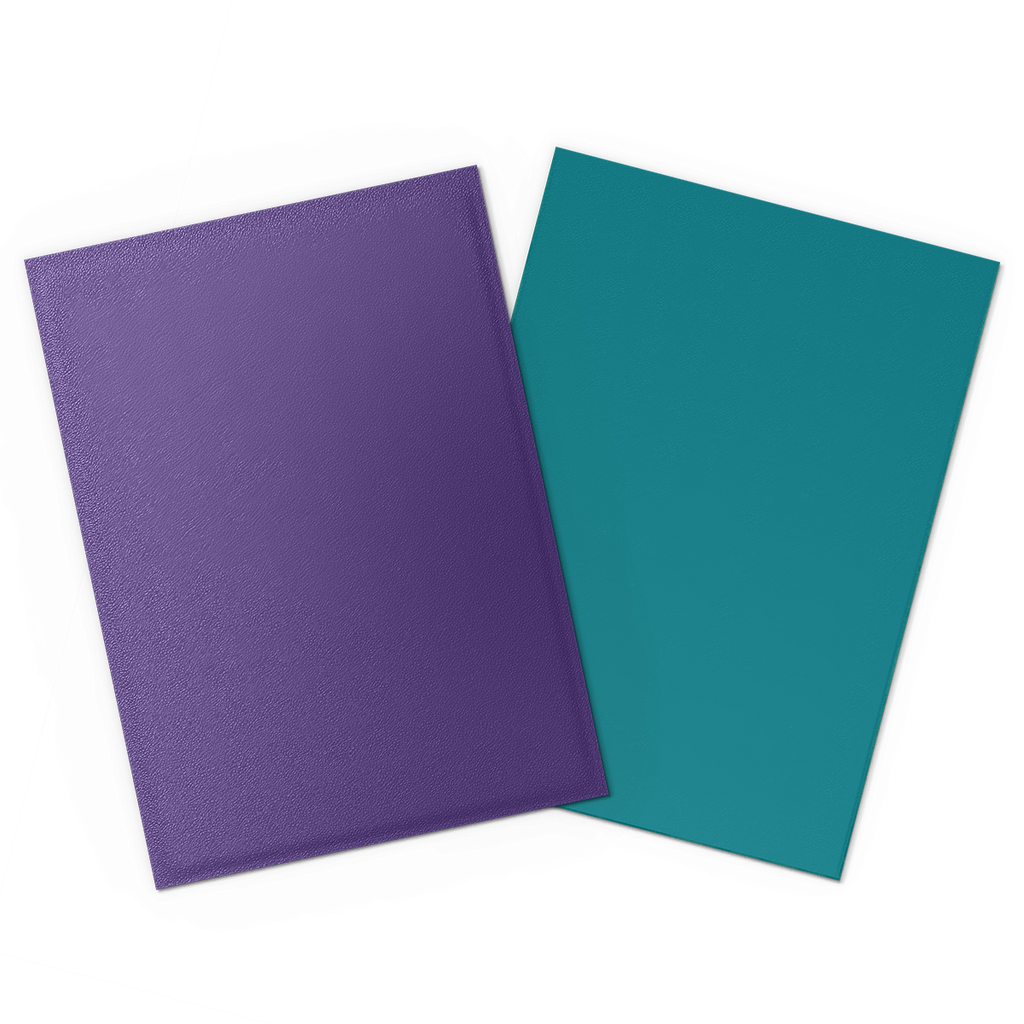 Dragon Shield: Standard 100ct Sleeves - Soul and Petrol