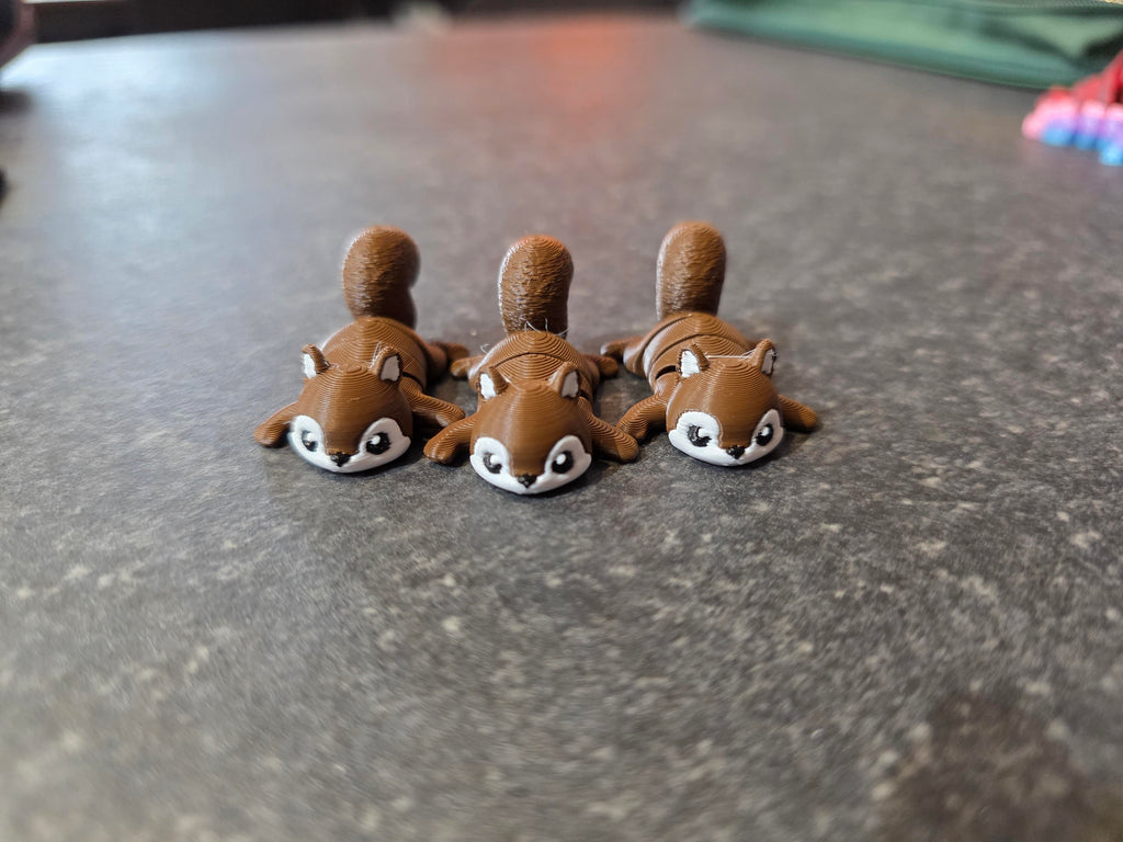 3D Lab Squirrel